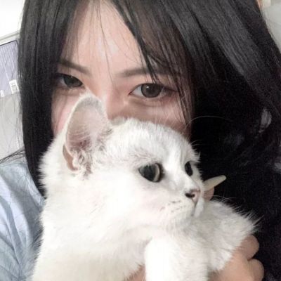 渣男模拟器汉化破解版下载